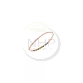Ékszíj 4L 630 – 13 × 8 mm, 1600,2 mm külső hossz
