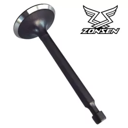 Szívószelep zongshen XP200