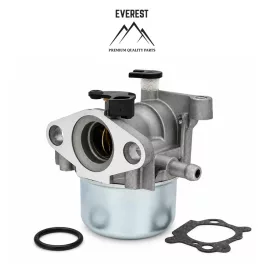   Karburátor Briggs & Stratton 600 ReadyStart sorozathoz – Everest