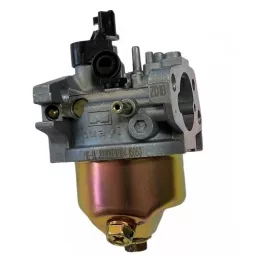 Karburátor komplett MTD P70