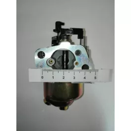 Karburátor komplett MTD P61