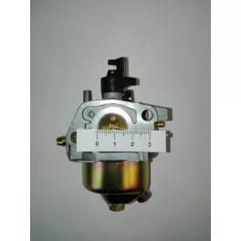 Karburátor komplett MTD P61HB