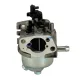 Karburátor komplett MTD P65