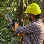 Stiga SPR 500 AE Akkus Láncfűrész (Üres gép)