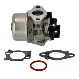 Karburátor komplett Briggs 111P02