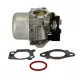 Karburátor komplett Briggs 12Q502