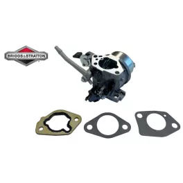 Karburátor Briggs & Stratton 799882