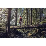 Husqvarna 572XP Láncfűrész