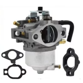 Karburátor Briggs & Stratton motorhoz – 492256