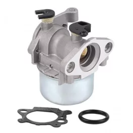 Karburátor Briggs & Stratton motorhoz – 499059