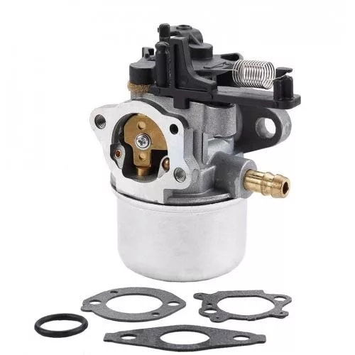 Karburátor Briggs & Stratton motorhoz – 591137