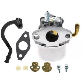 Karburátor Briggs & Stratton motorhoz – 698479