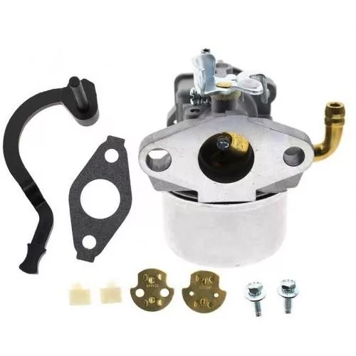 Karburátor Briggs & Stratton motorhoz – 698479