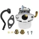 Karburátor Briggs & Stratton motorhoz – 698479