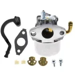 Karburátor Briggs & Stratton motorhoz – 698479