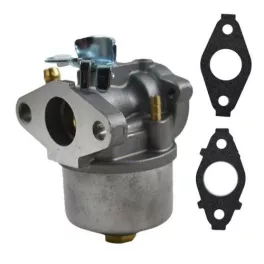 Karburátor Briggs & Stratton motorhoz – 594015
