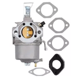 Karburátor Briggs & Stratton motorhoz – 715668