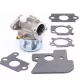 Karburátor Briggs & Stratton motorhoz – 790120