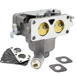 Karburátor Briggs & Stratton motorhoz – 791230