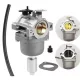 Karburátor Briggs & Stratton motorhoz – 796109