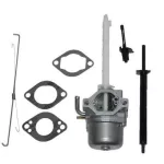 Karburátor Briggs & Stratton motorhoz – 796122