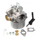Karburátor Briggs & Stratton motorhoz – 798653