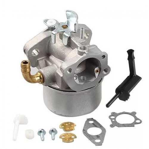 Karburátor Briggs & Stratton motorhoz – 798653