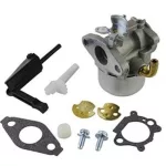 Karburátor Briggs & Stratton motorhoz – 798653