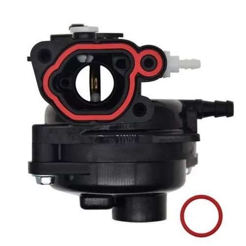 Karburátor Briggs & Stratton motorhoz – 799583