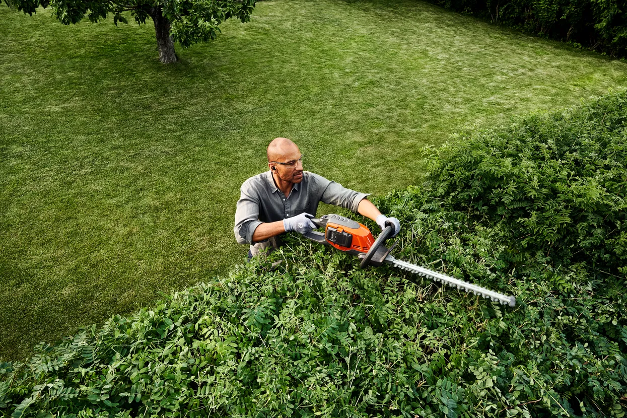 Akkumulátoros Husqvarna sövényvágó használat közben