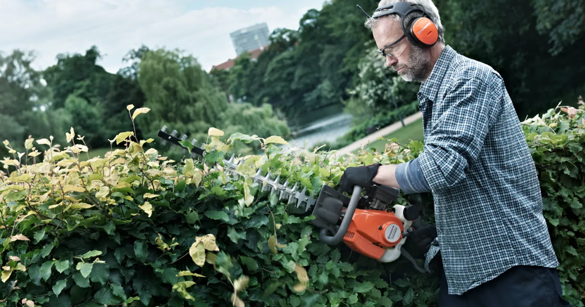 Sövényvágás lépésről lépésre: időzítés, forma, technika és biztonság