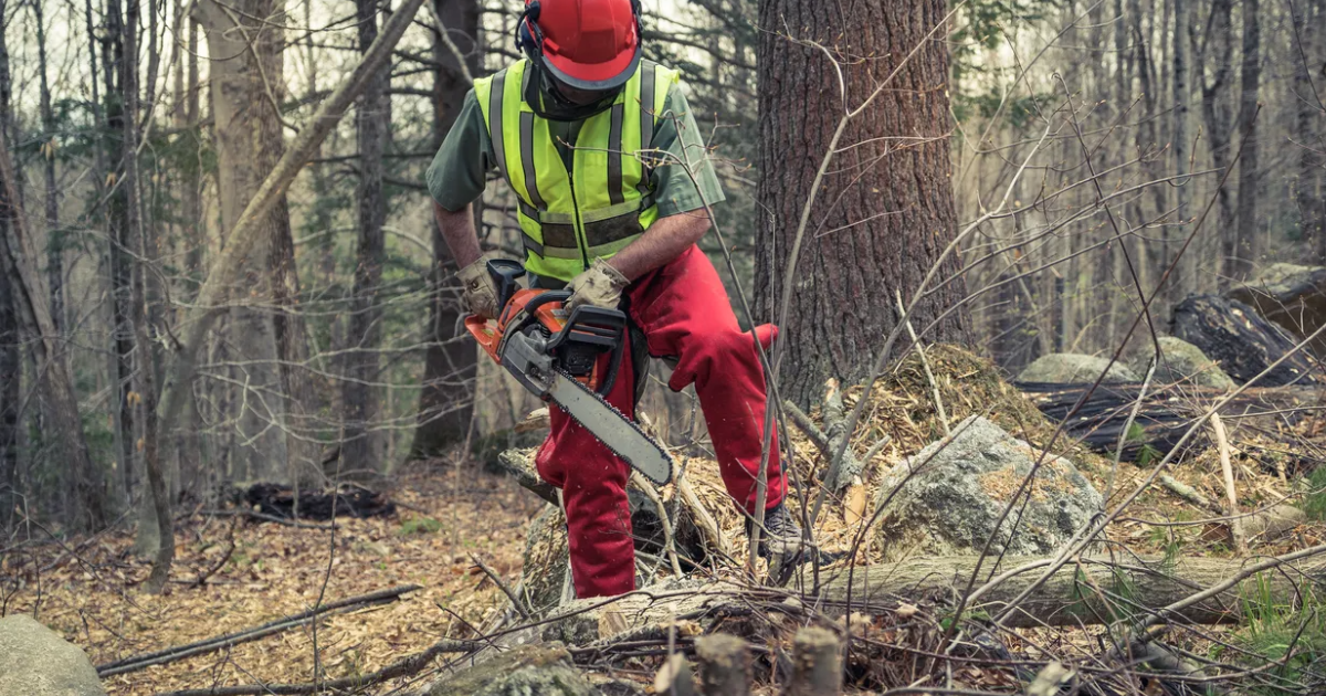 Biztonság és hatékonyság a legmagasabb szinten